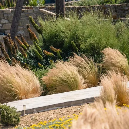 New - Apiro - Mg Mykonos Villa Kalafatis